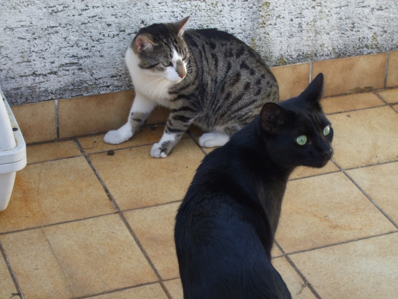 Ostern 2007 Orleshausen 068 